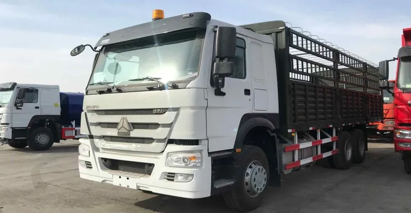 شاحنة الشحن 6x4 Howo-7