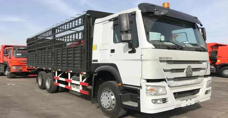 شاحنة الشحن 6x4 Howo-7