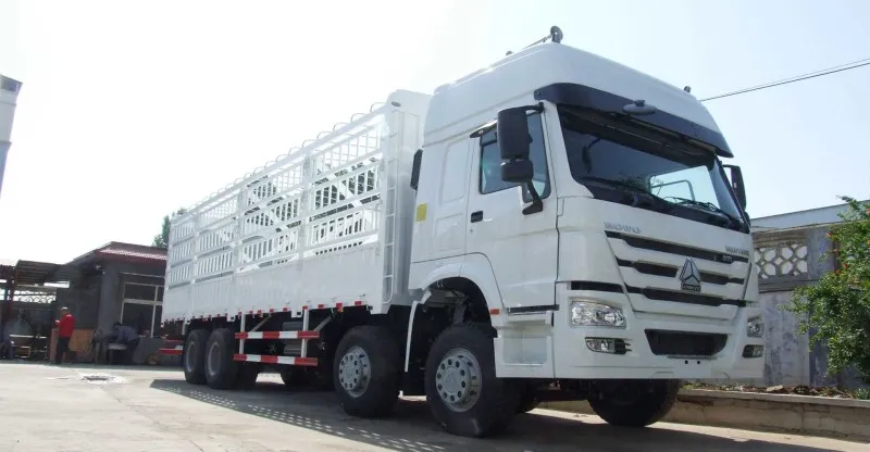 شاحنة الشحن 6x4 Howo-7