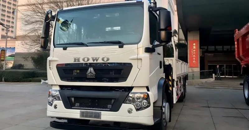 شاحنة البضائع 6x4 Howo-TX