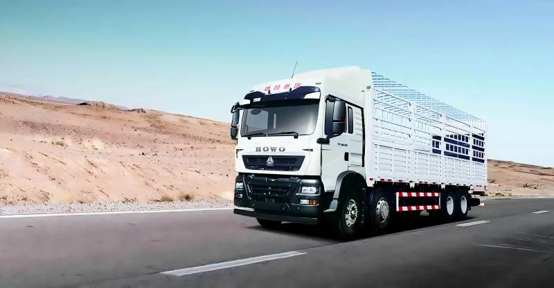 شاحنة البضائع 8x4 Howo-TX