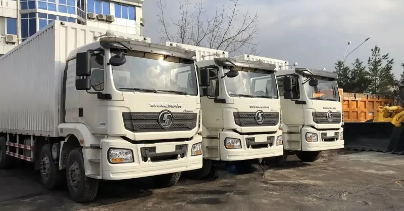 Cargo Truck 8x4 Shacman H3000