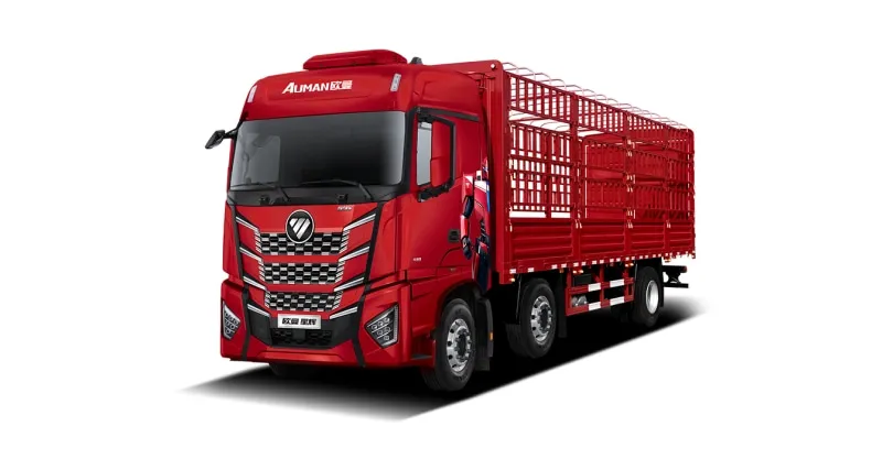 Auman Xinghui 10L480 حصان 6 × 2 شاحنة الديزل (BJ1269Y6HPL-03) الهيكل