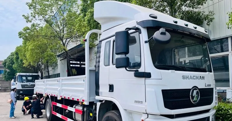 L3000 Standard load truck/4×2